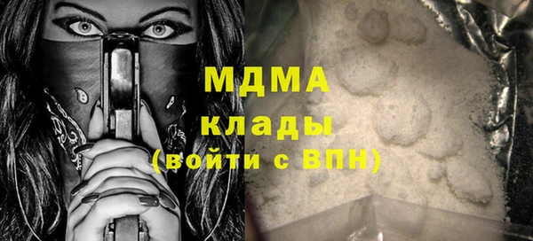 хмурый Дубна
