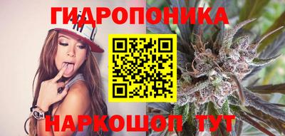 СК Гусь-Хрустальный