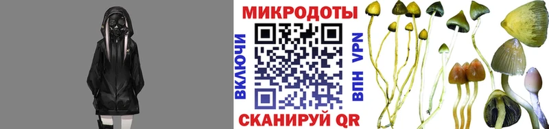 Псилоцибиновые грибы MAGIC MUSHROOMS  закладка  Кизляр 