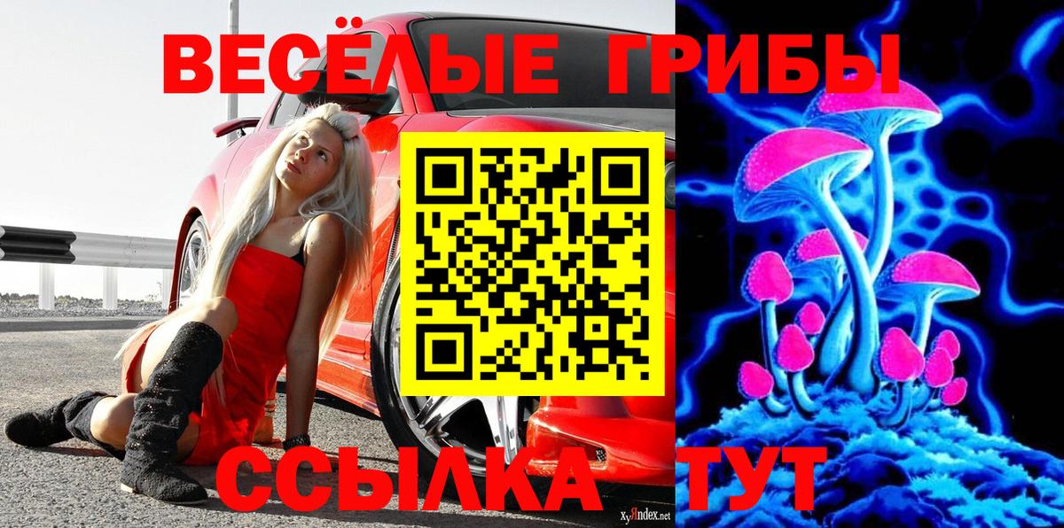 Галлюциногенные грибы прущие грибы Кизляр
