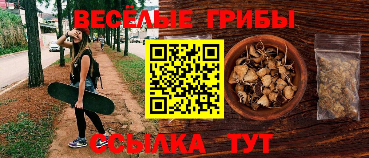 Галлюциногенные грибы Psilocybe  Псилоцибиновые грибы GOLDEN TEACHER  Вход с VPN  Кизляр 